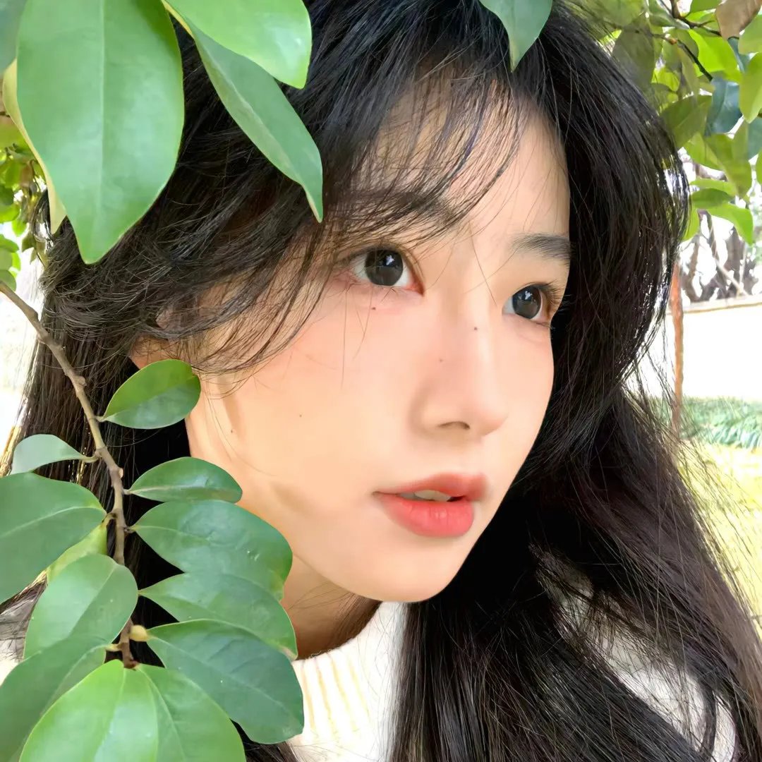 老木逢春海报